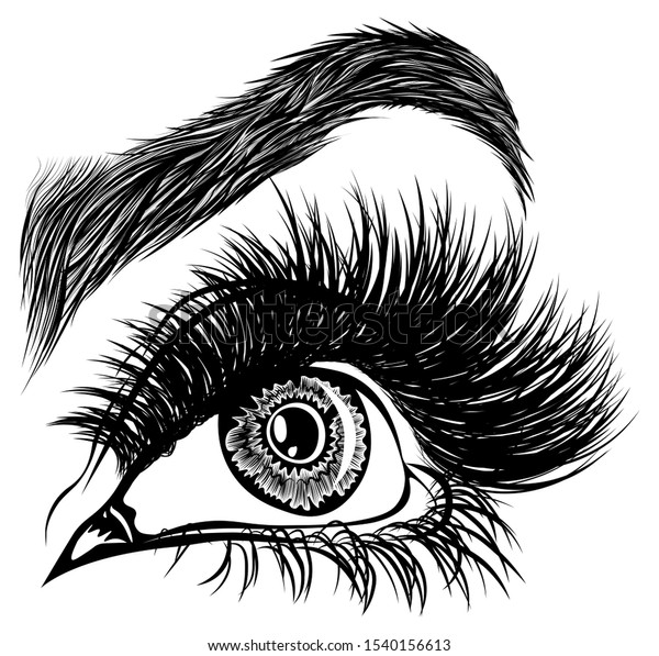 Illustration Womans Eye Eyelashes Eyebrow Makeup Stock Vector Royalty Free 1540156613 4002