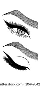 Illustration with woman's eye, eyelashes and eyebrows. Makeup Look. Tattoo design. Logo for brow bar or lash salon.
