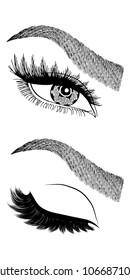 Illustration with woman's eye, eyelashes and eyebrows. Makeup Look. Tattoo design. Logo for brow bar or lash salon.