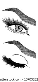 Illustration with woman's eye, eyelashes and eyebrows. Makeup Look. Tattoo design. Logo for brow bar or lash salon.