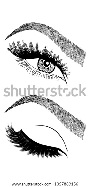 Illustration Womans Eye Eyelashes Eyebrows Makeup Stock Vector Royalty Free 1057889156 3116