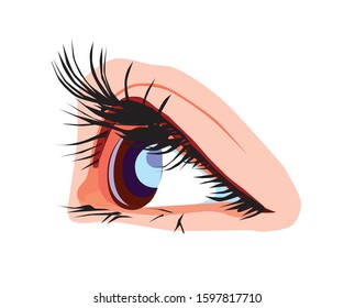 illustration of woman's eye, vector
