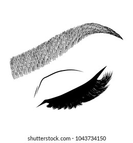 Illustration with woman's eye wink, eyebrows and eyelashes. Makeup Look. Tattoo design. Logo for brow bar or lash salon.