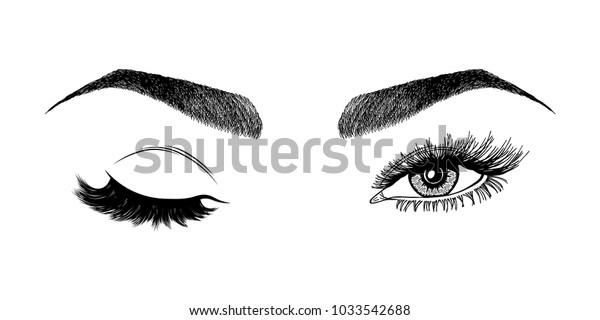 Illustration Womans Eye Wink Eyebrows Eyelashes Stock Vector Royalty Free 1033542688 4067