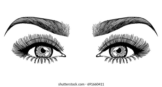 Illustration Womans Eyes Eyelashes Eyebrows Makeup Vetor Stock Livre De Direitos 1401981125 4914