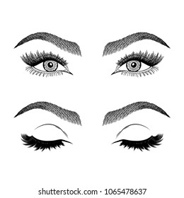 Illustration with woman's eyes, eyelashes and eyebrows. Makeup Look. Tattoo design. Logo for brow bar or lash salon.