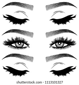 Illustration With Woman's Eyes, Eyelashes And Eyebrows. Makeup Look. Tattoo Design. Logo For Brow Bar Or Lash Salon.