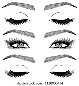 Illustration with woman's eyes, eyelashes and eyebrows. Makeup Look. Tattoo design. Logo for brow bar or lash salon.