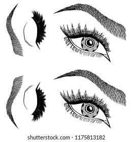Illustration with woman's eyes, eyelashes and eyebrows. Makeup Look. Tattoo design. Logo for brow bar or lash salon.