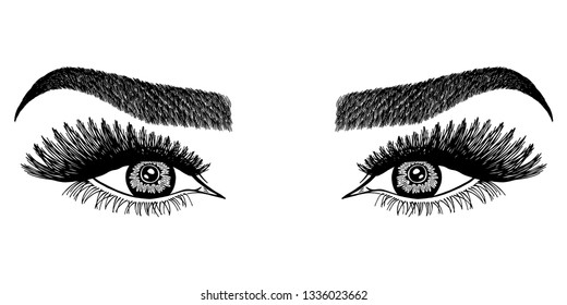 Illustration Womans Eyes Eyelashes Eyebrows Makeup Vector De Stock Libre De Regalías 8311