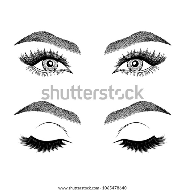 Illustration Womans Eyes Eyelashes Eyebrows Makeup Stock Vector Royalty Free 1065478640 8795