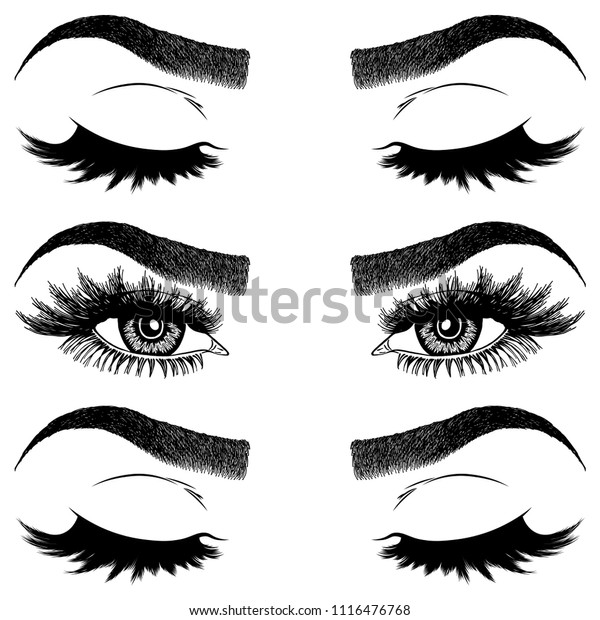 Illustration Womans Eyes Eyelashes Eyebrows Makeup Stock Vector Royalty Free 1116476768 7745