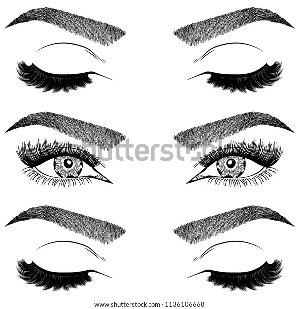 Illustration Womans Eyes Eyelashes Eyebrows Makeup Stock Vector Royalty Free 1136106668 6599