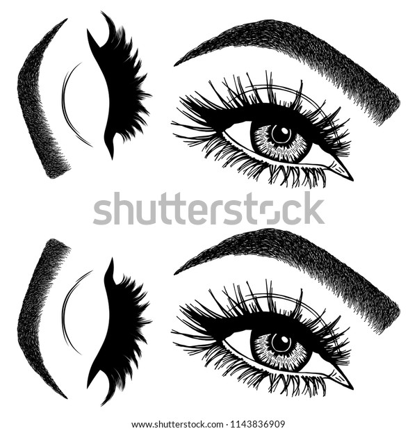 Illustration Womans Eyes Eyelashes Eyebrows Makeup Stock Vector Royalty Free 1143836909 3986