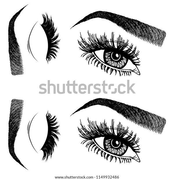 Illustration Womans Eyes Eyelashes Eyebrows Makeup Stock Vector Royalty Free 1149932486 3853