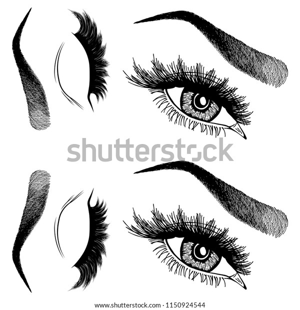 Illustration Womans Eyes Eyelashes Eyebrows Makeup Stock Vector Royalty Free 1150924544 9635