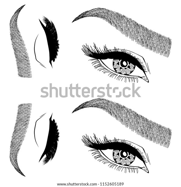 Illustration Womans Eyes Eyelashes Eyebrows Makeup Stock Vector Royalty Free 1152605189 7785