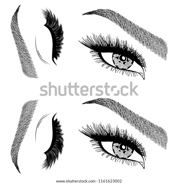 Illustration Womans Eyes Eyelashes Eyebrows Makeup Stock Vector Royalty Free 1161623002 3093