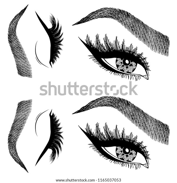 Illustration Womans Eyes Eyelashes Eyebrows Makeup Stock Vector Royalty Free 1165037053 0823