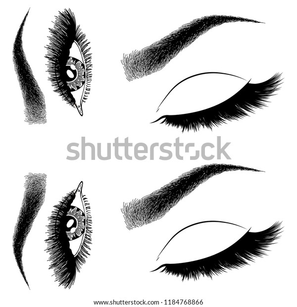 Illustration Womans Eyes Eyelashes Eyebrows Makeup Stock Vector Royalty Free 1184768866 5408