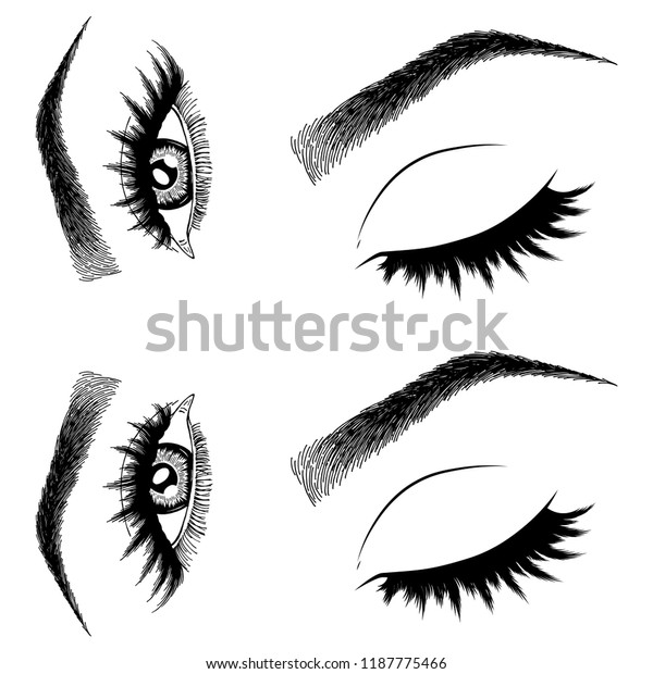 Illustration Womans Eyes Eyelashes Eyebrows Makeup Stock Vector Royalty Free 1187775466 8366