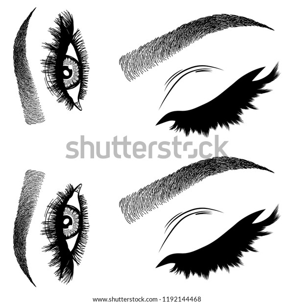 Illustration Womans Eyes Eyelashes Eyebrows Makeup Stock Vector Royalty Free