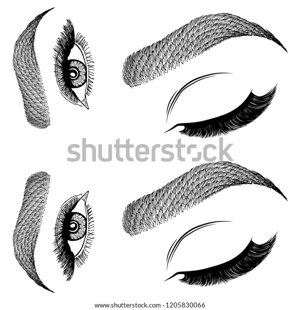 Illustration Womans Eyes Eyelashes Eyebrows Makeup Stock Vector Royalty Free 1205830066 1793