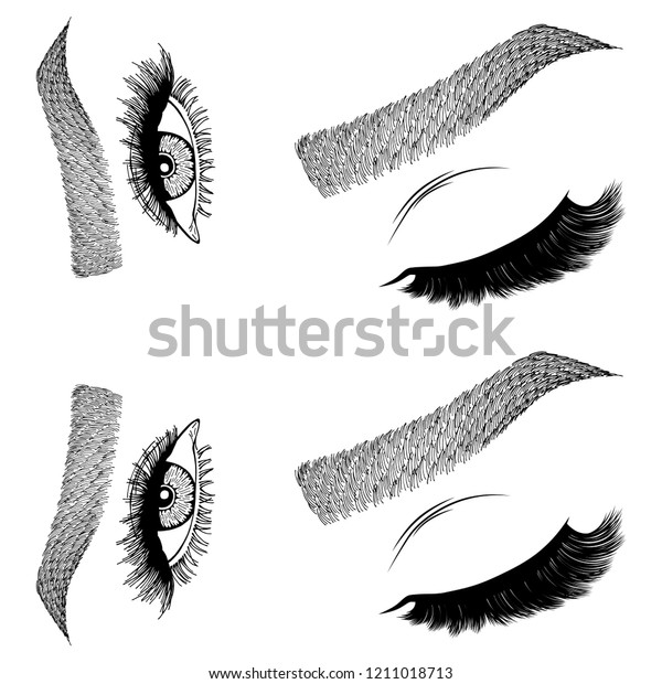Illustration Womans Eyes Eyelashes Eyebrows Makeup Stock Vector Royalty Free 1211018713 9133