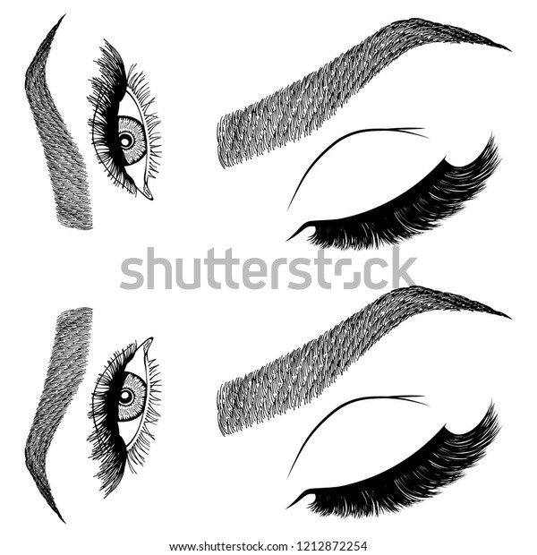 Illustration Womans Eyes Eyelashes Eyebrows Makeup Stock Vector Royalty Free 1212872254 7781