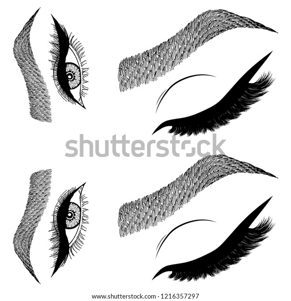 Illustration Womans Eyes Eyelashes Eyebrows Makeup Stock Vector Royalty Free 1216357297