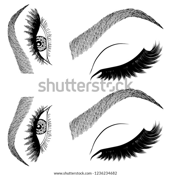 Illustration Womans Eyes Eyelashes Eyebrows Makeup Stock Vector Royalty Free 1236234682 4757