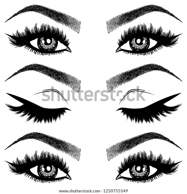 Illustration Womans Eyes Eyelashes Eyebrows Makeup Stock Vector Royalty Free 1250755549 0176