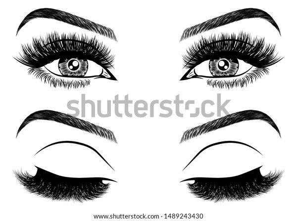 Illustration Womans Eyes Eyelashes Eyebrows Realistic Stock Vector Royalty Free 1489243430 6694