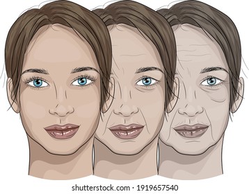 Illustration of a woman's face in the aging process From young to old.Aging face, wrinkles, loss of skin firmness