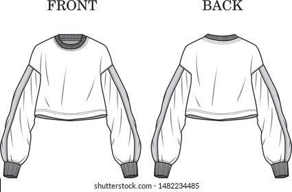 Illustration of women's short jumper. Front and back. Raster version