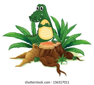 Illustration of a wood with a crocodile on a white background
