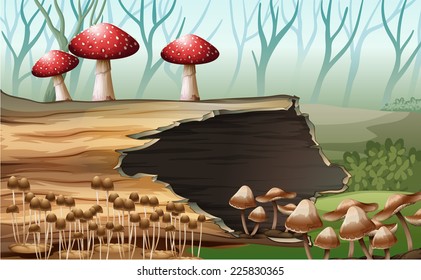 Illustration of a wood with mushrooms