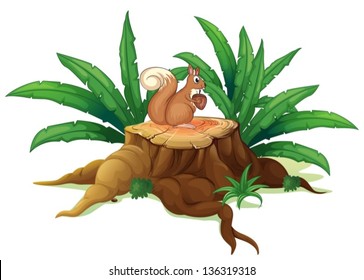 Illustration of a wood with a squirrel on a white background