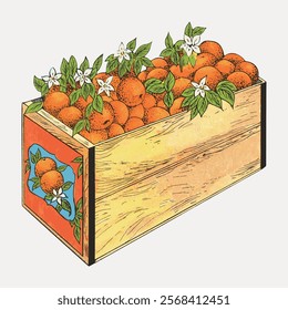 Illustration of a wooden crate filled with oranges. The crate is decorated with orange designs. Oranges and leaves are abundant, creating a vibrant scene. Isolated vintage vector element.