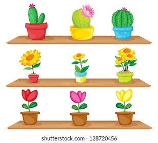 Illustration of the wooden shelves with ornamental plants on a white background