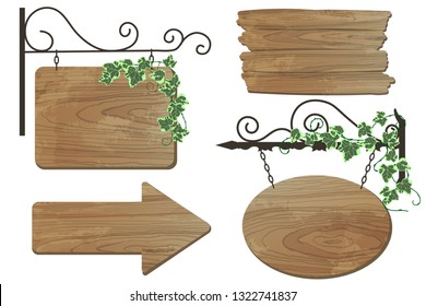 
Illustration of wooden signboard with ivy tangle