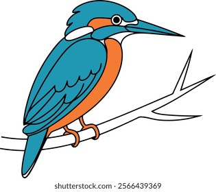 illustration of a Woodlands Kingfisher bird Coloring book for kids