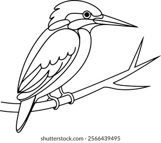 illustration of a Woodlands Kingfisher bird Coloring book for kids