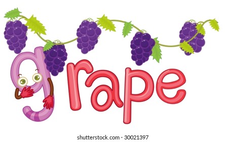 illustration for the word grape