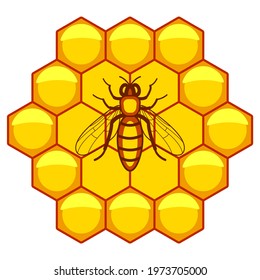 Illustration of the worker bee and honeycombs pattern