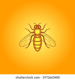 Illustration of the worker bee insect