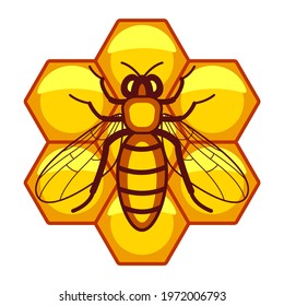 Illustration of the worker bee on hexagon honeycombs