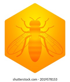 Illustration of the worker bee on hexagon honeycomb