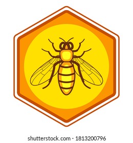 Illustration of the worker bee on honeycomb hexagon