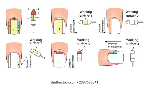 Ilustración con superficies de trabajo para una manicura de uñas. Material educativo